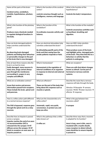 AQA Biology homeostasis game revision | Teaching Resources