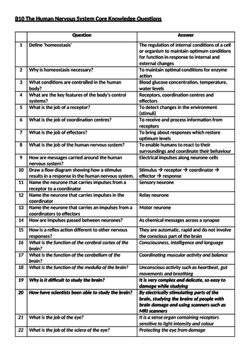 AQA B10 The Human Nervous System Core Knowledge Questions