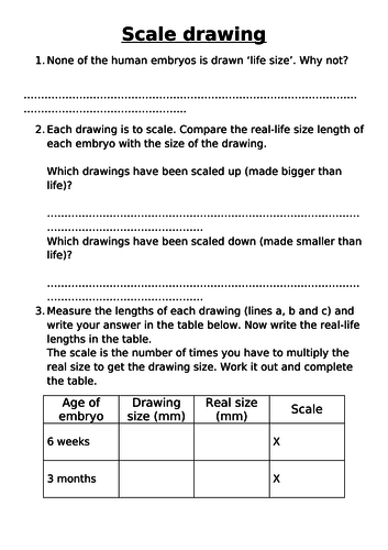 Working Scientifically -8- Scales and Scaling | Teaching Resources