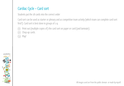 Steps of the Cardiac Cycle - Card Sort (KS5) | Teaching Resources