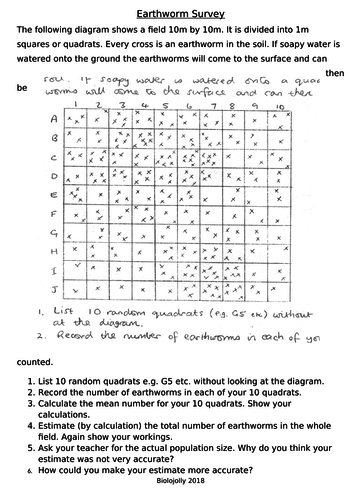 Quadrats - earthworm survey worksheet | Teaching Resources