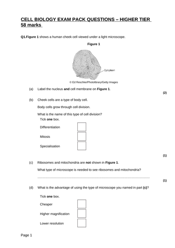 Gcse Biology Cell Biology Exam Question And Answer Packs Ht Ft Teaching Resources