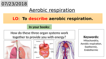 B9.1 Aerobic Respiration 