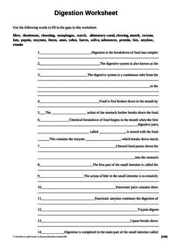 docx, 33.8 KB