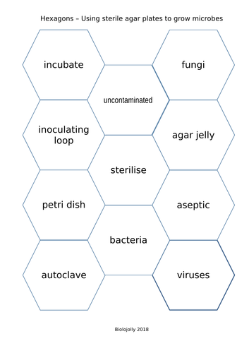 Microbes - growing - SOLO Hexagons