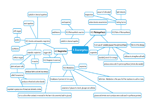 Bioenergetics 4 - Mindmap AQA Biology GCSE