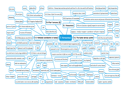 Homeostasis 5 - Mindmap AQA Biology GCSE