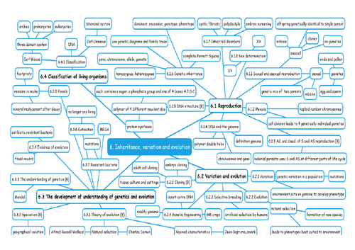 Inheritance, Variation and Evolution 6 - Mindmap AQA Biology GCSE