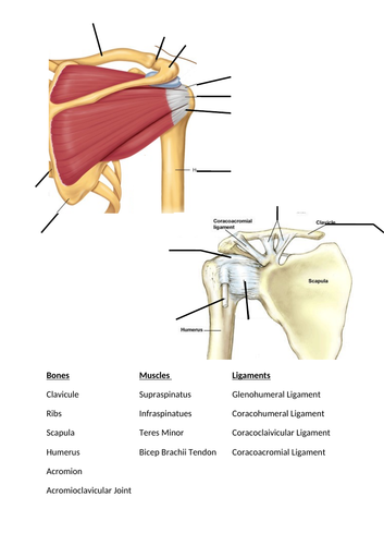 BTEC Sports Injuries | Teaching Resources