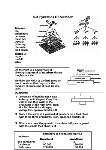 pyramids-of-number-biomass-energy-gcse-teaching-resources