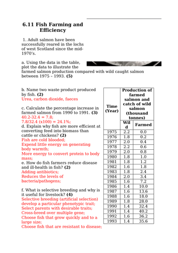 docx, 102.84 KB