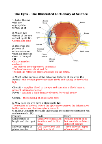 The Structure & Function Of The Eye (GCSE) | Teaching Resources