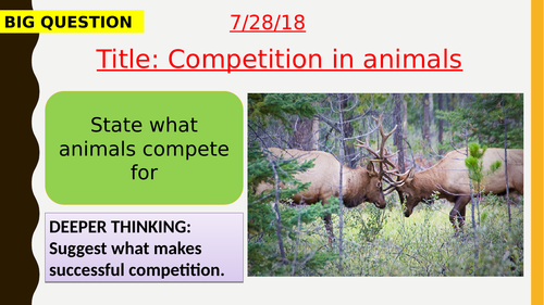 AQA new specification-Competition in animals-B15.4