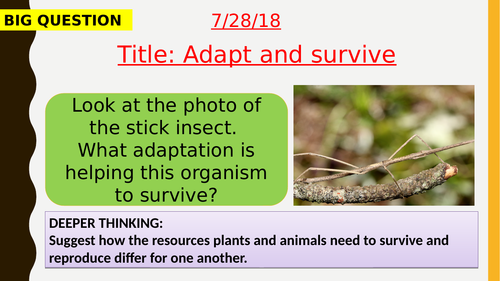 AQA new specification-Adapt and survive-B15.6