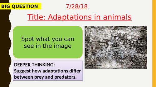 AQA new specification-Adaptation in animals-B15.7