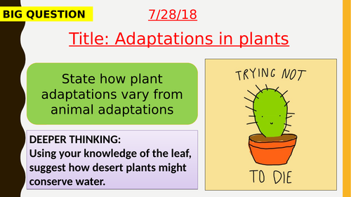 AQA new specification-Adaptation in plants-B15.8