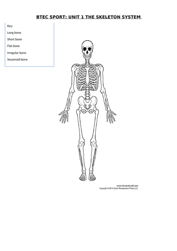 docx, 134.8 KB