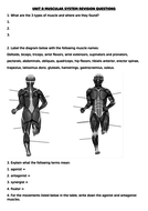 BTEC SPORT Muscular Worksheets for Unit 1 Nationals L3 Award (New Spec ...