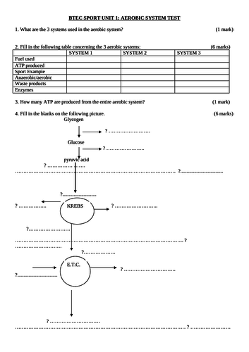 BTEC SPORT Energy Systems Worksheets for Unit 1, Nationals L3 (new spec ...
