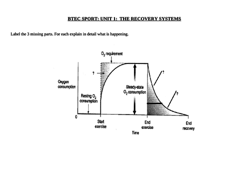 BTEC SPORT Energy Systems Worksheets for Unit 1, Nationals L3 (new spec ...