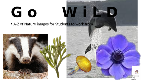 A-Z of pictures of nature/sea-life to use for Art Polyprint project KS3 Nature project