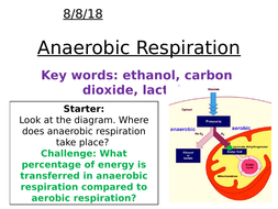 another name for anaerobic respiration is
