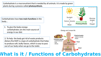 Aqa food preparation and nutrition past papers picture