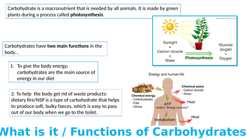 AQA GCSE Food Preparation & Nutrition section 1 lesson 5