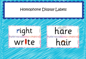 Homophone Display Labels (Cursive Version included) | Teaching Resources