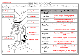 Biology Worksheet: The Microscope | Teaching Resources