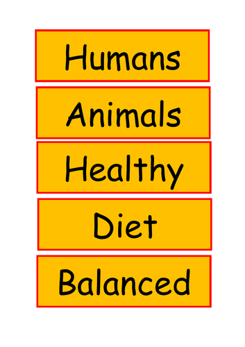 Animals vocabulary display ks2 science