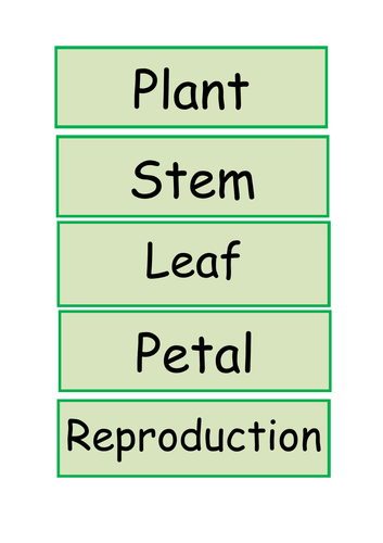 Year 3 Science Topics National Curriculum