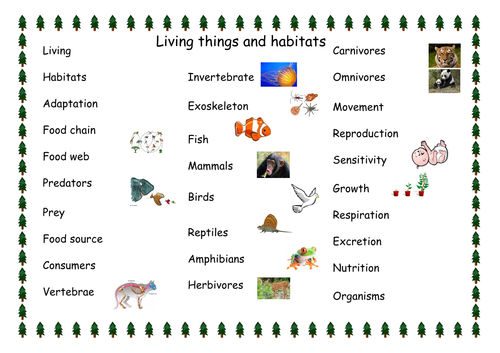 Living things and habitats vocabulary word mat