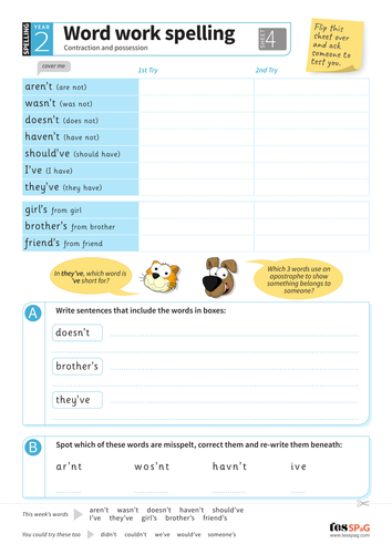 contraction and possession spelling worksheet year 2