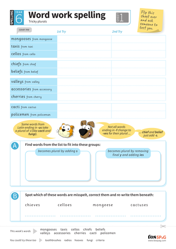 tricky plurals spelling worksheet year 6 spag