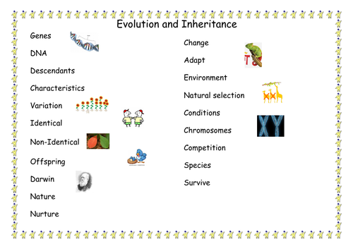 Evolution Inheritance vocabulary word mat