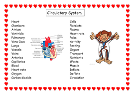 Circulatory system vocabulary word mat by rexinstead - Teaching