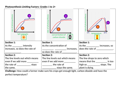 Bioenergetics Lesson 04 - Limiting Factors of Photosynthesis