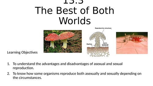 B13.3 The Best of Both Worlds NEW AQA 1-9 GCSE (Biology only ...