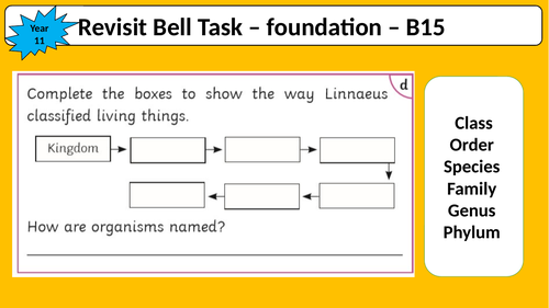 B13.4 DNA and the Genome NEW AQA 1-9 GCSE | Teaching Resources
