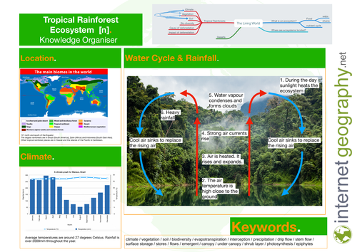 Ecosystems Knowledge Organiser - Tropical Rainforests - GCSE Geography ...