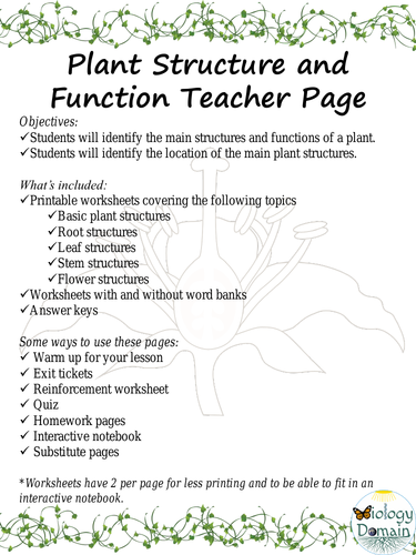 Plant Structure And Function Worksheets Teaching Resources