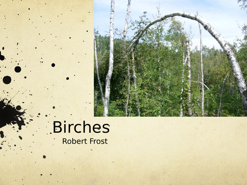 Birches by Robert Frost- Poetry Analysis (A Level)