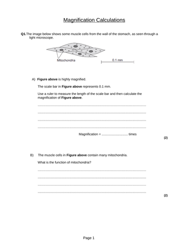 GCSE 9-1 Biology microscopes, magnification and calculations | Teaching