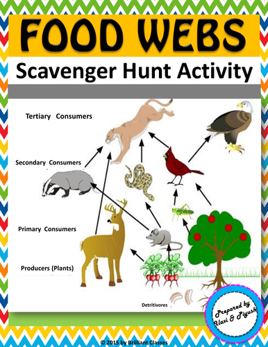 Foodwebs Scavenger Hunt Activity Biology Diagrams