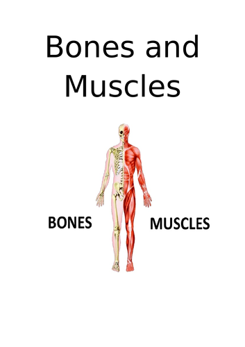 Bones and Muscles | Teaching Resources