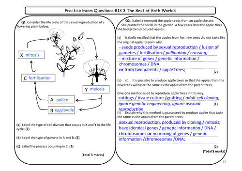 133 The Best Of Both Worlds Gcse Grade 1 9 Biology Pros And Cons Of 1634