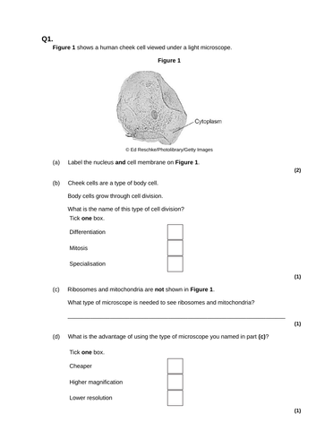 KS4 B1.1.2 The world of the microscope (cheek cells) | Teaching Resources