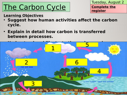 KS3 The carbon cycle | Teaching Resources