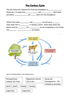 KS3 The carbon cycle | Teaching Resources